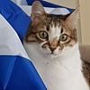 Avatar του/της Vivetta