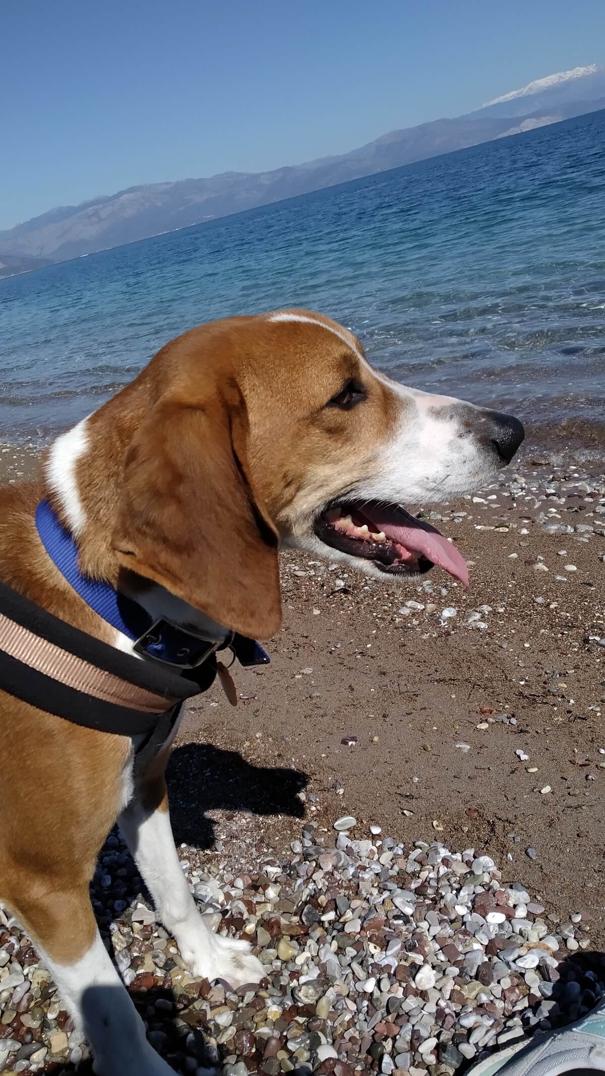 Avatar του/της Άννα